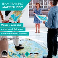 Workshop DISC MAPSTELL