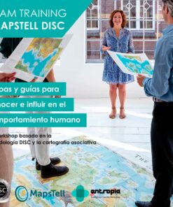 Workshop DISC MAPSTELL